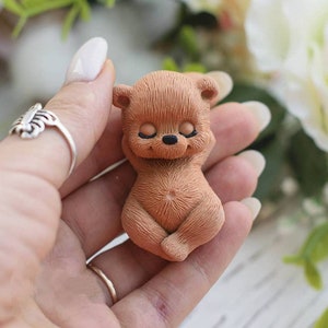 Teddy Bear Boy Silicone Fondant Mold Teddy Bear Mold Silicone Soap