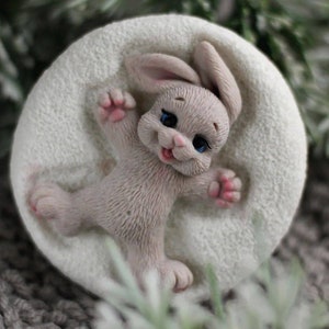 bunny rabbit theme mold mould silicone soap melt and pour candle resin Easter  new year photography theme