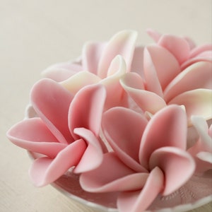 Candele Galleggianti Profumate Al Frangipane - Confezione Da 10 Pezzi Multicolore