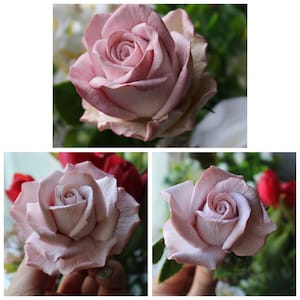 Könnte beinhalten: Drei Nahaufnahmen einer blassrosa Rose. Die Rose ist aus Stoff oder Fondant gefertigt und hat ein realistisches Aussehen.