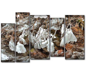 Canvas Art Print - Fleurs de neige - Toile d’art mural - Art mural encadré - Impression sur toile Photo Ukraine - Impression sur toile Nature