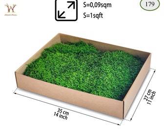 May include: A brown cardboard box filled with green preserved moss. The box measures 14 inches by 11 inches. The moss is sold in a quantity of 1 square foot.