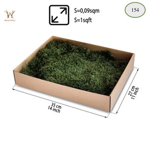 Moss Flat Sheet Moss Preserved Natural Lichen Decorative Moss Covering Soil Potted Plant Moos Konserviert Wall Art Table Decor