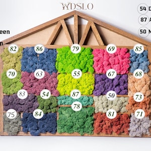 Mousse préservée WDSLO pour décorations de Noël, paniers-cadeaux, couronne, art mural mousse, décoration d&#39;intérieur, décoration de fleuriste, terrariums