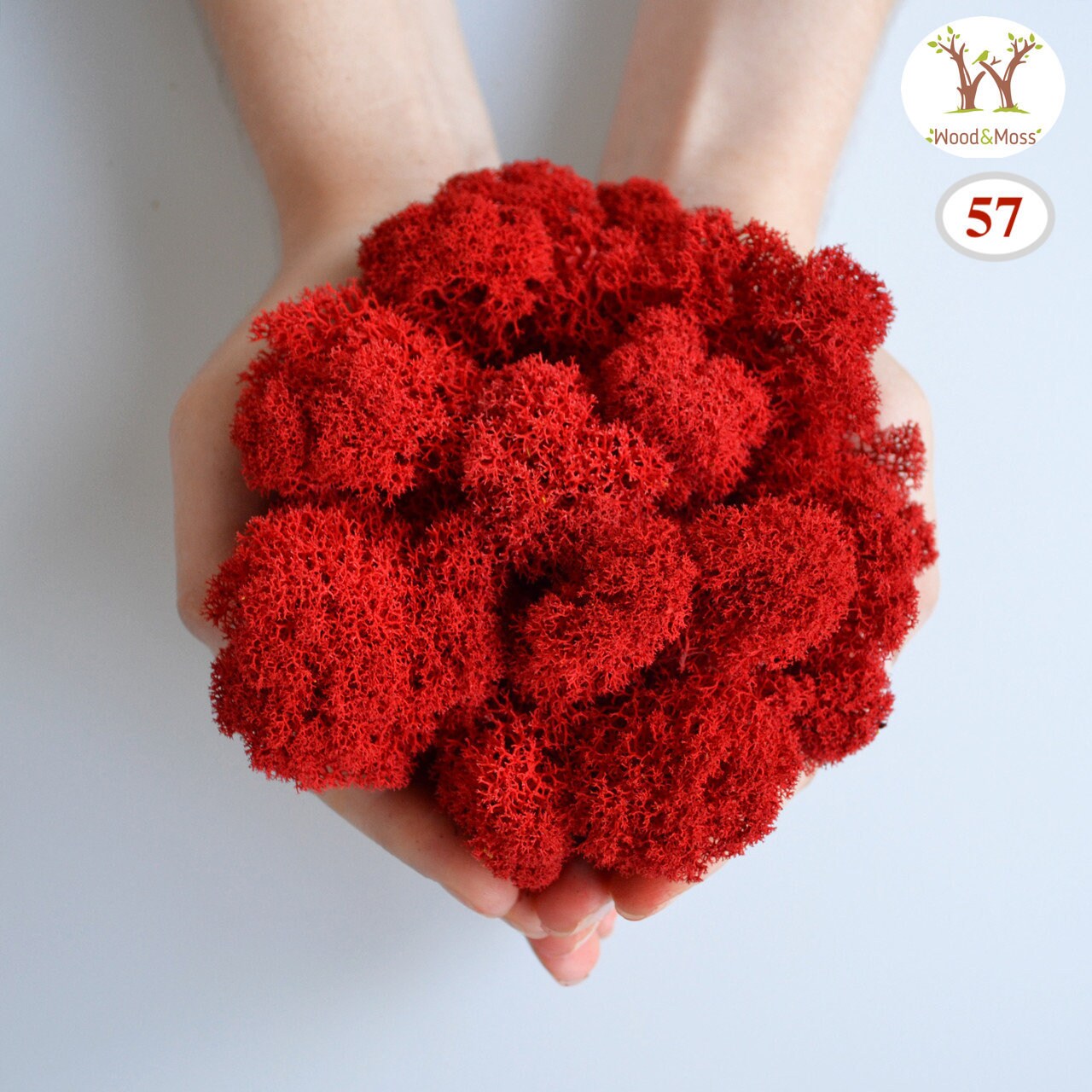 Make It Yourself DIY Moss Crafts Kits for Kids Moss Art Etsy