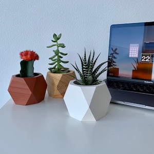 Holztopf für Sukkulenten, Übertopf für Sukkulenten, Kunstpflanzen, Topf für kleine Blumen, modernes Muttergeschenk, rustikales Hochzeitsdekor