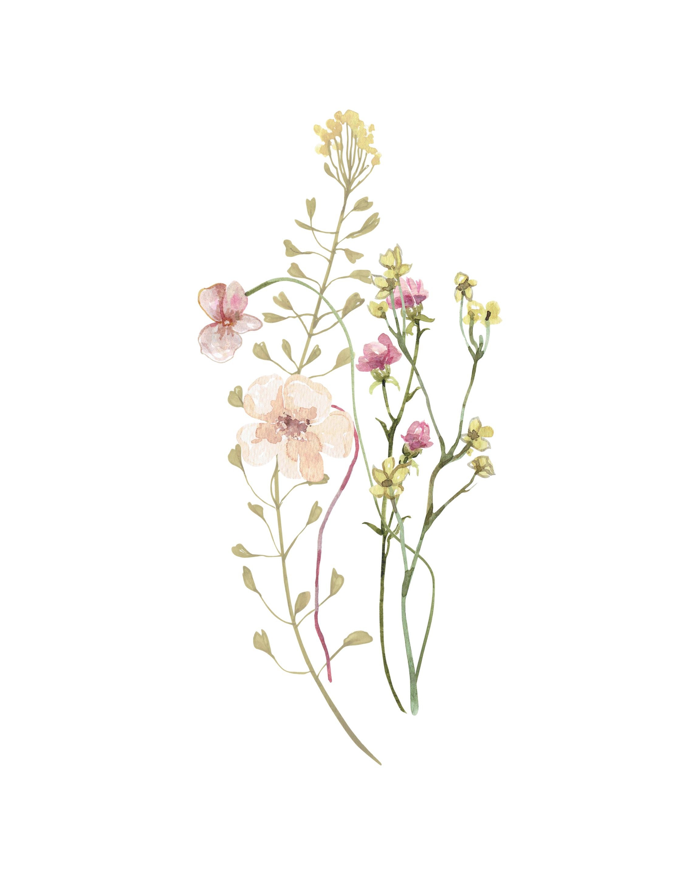 Watercolor Botanical Prints Set of 3, Wildflower Prints, Floral Nursery ...