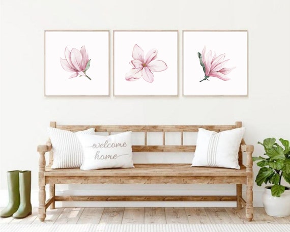 Magnolia nursery collection deals