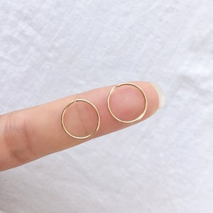 2個セット - 20g ノーズフープリング ダイスジュエリーイヤリング、フープノーズリング、トラガスフープ、ゴールドノーズリングノーズスタッドタイニーノーズリング