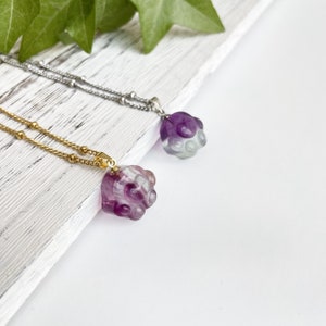 Rainbow Flourite cat / dog paw necklace, Genuine Fluorite Necklace, Gemstone Jewelry, Healing crystal necklace, Gift for Her,Christmas gift