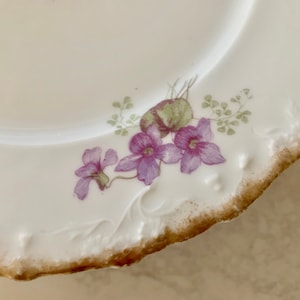 Rare Antique Limoges Violets Dessert Plates - Set of 6