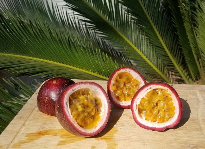 California Grown Passion Fruit 3lbs Purple Etsy
