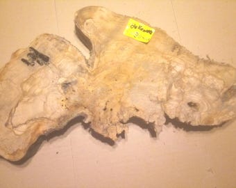 Baumscheibe Olivenholz aus Griechenland Resin Tisch Holzscheiben Baumscheibe xxl Tischdeko Hochzeitsdeko Epoxidharz Projekt