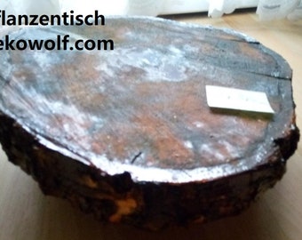 Flower table, coffee table, side table made of tree disc on wheels