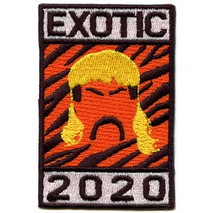 Tiger King For President 2020 Patch Animal Lover Box Logo Embroidered Iron On BD5
