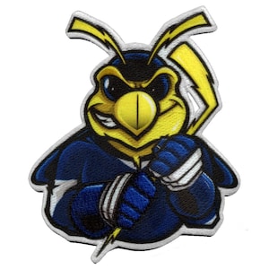 Tampa Bay Florida Hockey Bug Photo Patch Mascot Parody Embroidered Iron On AB4