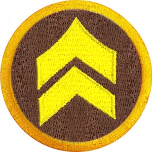 May include: A brown and yellow embroidered patch with two yellow chevrons pointing upwards.