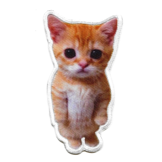 El Gato Cute Cat Foto Patch Animal Sweet Kitten Embroidered Iron