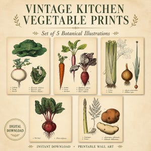 Juego de 5 láminas vintage de verduras para la cocina / Ilustraciones antiguas de verduras / Col, zanahoria, cebolla, remolacha, patata, espárragos / Descarga digital