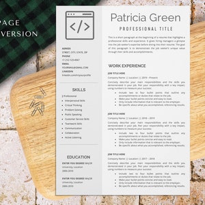 software developer resume template