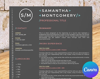 Software-Entwickler-Lebenslaufvorlage für Canva, Web-Entwickler, Software-Ingenieur, Programmierer Lebenslauf, Php- und Java-Entwickler Lebenslauf