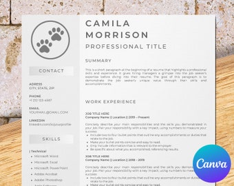 Veterinarian resume template for Canva, veterinary technician, veterinary assistant, vet tech, vet receptionist, veterinary student