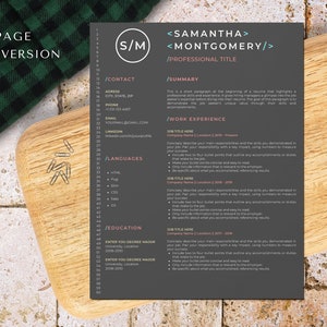 web developer resume template