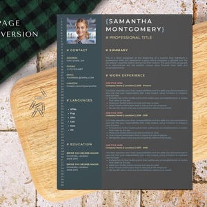 Python developer resume template for Canva, software engineer, it programmer, full stack, web, backend, game developer, angular, android image 2