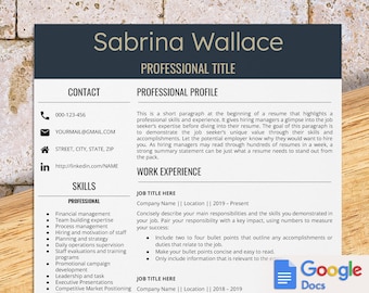 Harvard & Yale resume template for Google Docs, Federal government resume, USA jobs resume, two column, Military cv, no experience resume