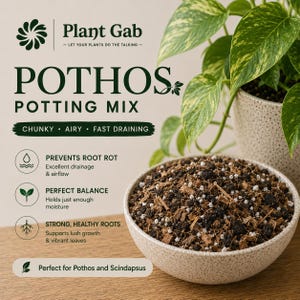 May include: A bowl of chunky, airy, fast-draining Pothos potting mix with dark soil, wood chips, and white perlite. Text reads: Plant Gab, Pothos Potting Mix, Chunky, Airy, Fast Draining, Prevents Root Rot, Perfect Balance, Strong, Healthy Roots.