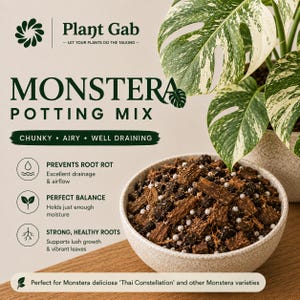 May include: A bowl of chunky, airy, well-draining potting mix for Monstera plants. The text reads Plant Gab, Monstera Potting Mix, Chunky, Airy, Well Draining, Prevents Root Rot, Perfect Balance, Strong, Healthy Roots, and Monstera deliciosa.