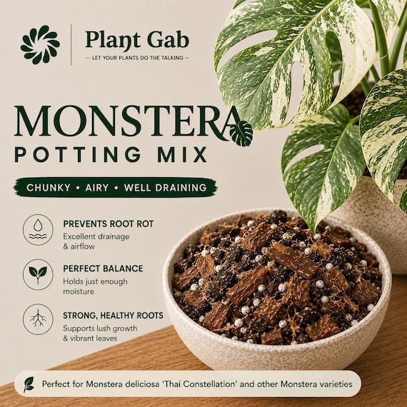 Monstera Potting Mix | Premium Potting Mix for Monstera | Soil Free Mix for Monstera | Peat Free Monstera Potting Mix | Monstera Substrate