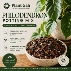 May include: Philodendron potting mix in a speckled ceramic bowl. The mix is chunky, airy, and well-draining, with visible dark and light components. Text on the image reads "Plant Gab" and highlights benefits like preventing root rot and supporting healthy roots.