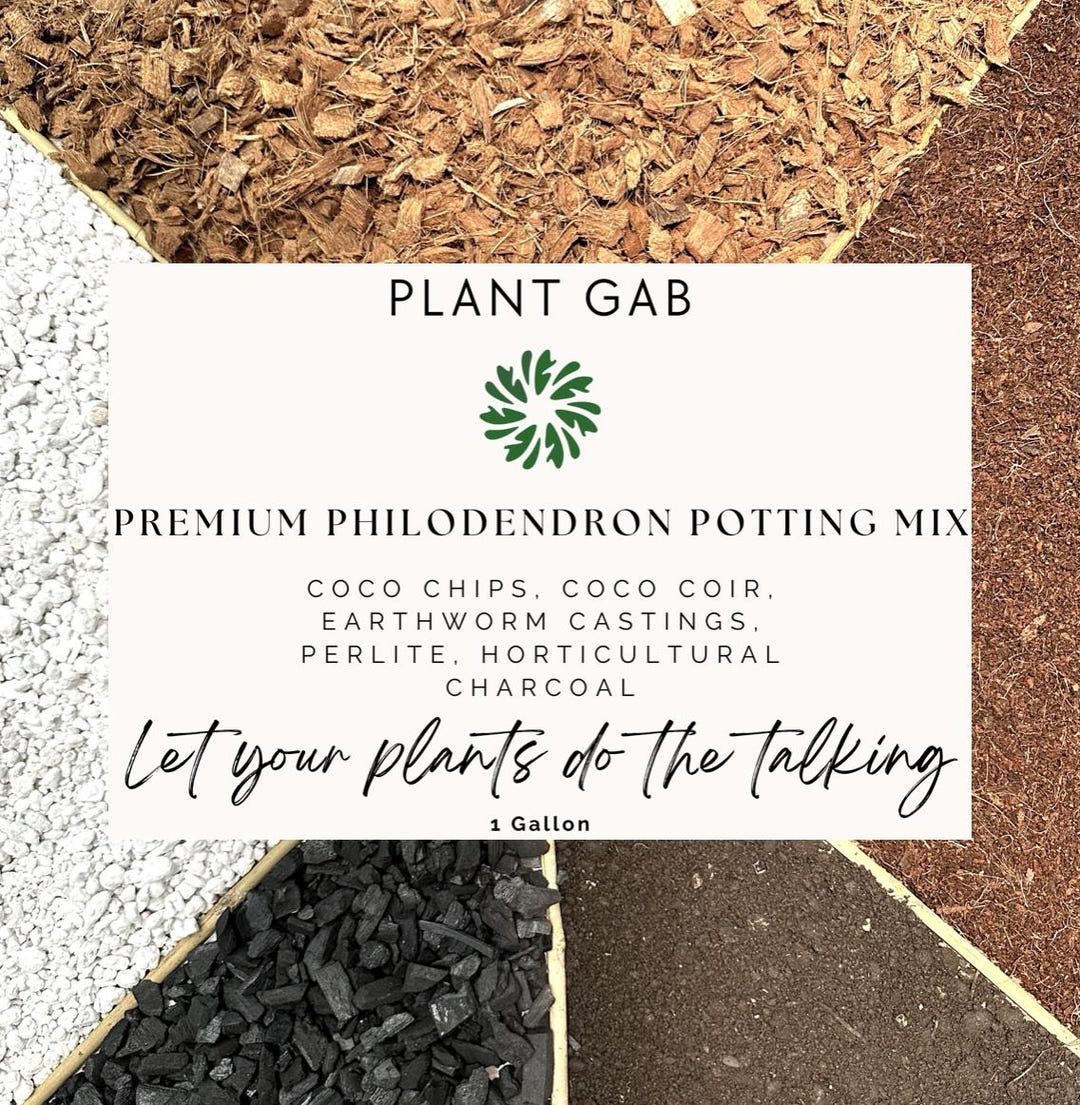 Premium Potting Mix for Philodendron – Soil Free Mix for Philodendron ...