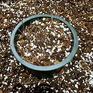 Premium Potting Mix for Monstera – Soil Free Mix for Monstera - Peat Free Monstera Potting Mix - Monstera Substrate