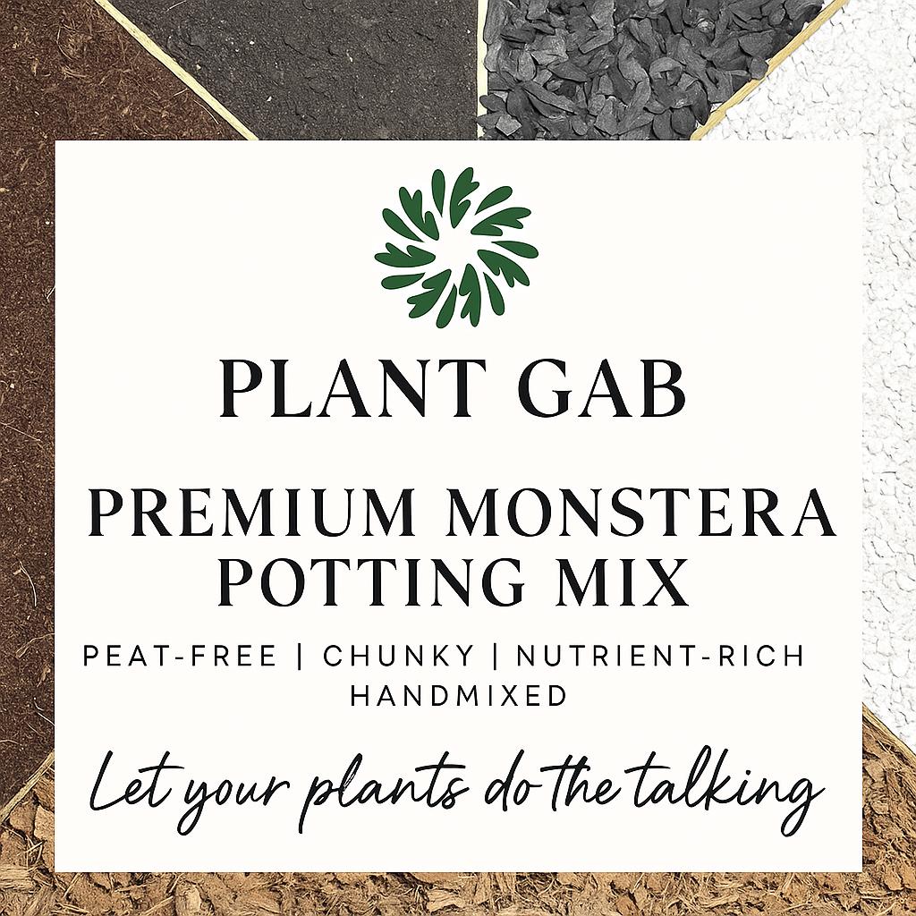 Premium Potting Mix for Monstera | Soil Free Mix for Monstera | Peat Free Monstera  Potting Mix | Monstera Substrate - Etsy