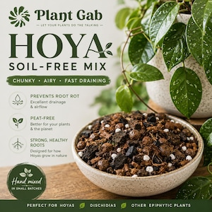 May include: A ceramic bowl filled with a soil-free mix for plants, with the text "HOYA SOIL-FREE MIX." The mix appears chunky and airy, with dark brown, black, and white components. The image also shows green plants and the text "Hand mixed in small batches."