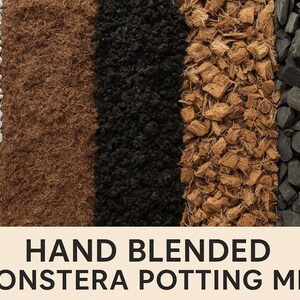 May include: A potting mix for plants arranged in five vertical columns of white perlite, brown coconut coir, black soil, brown coconut husk chips, and black charcoal pieces. The text below reads HAND BLENDED MONSTERA POTTING MIX.