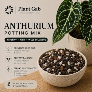 May include: A bowl of chunky, airy, and well-draining potting mix for Anthurium plants. The mix contains dark soil, wood chips, and white perlite. Text on the image reads Plant Gab, Anthurium Potting Mix, and lists benefits like preventing root rot.