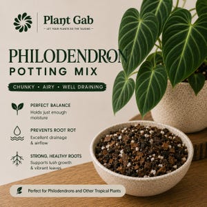 Philodendron Potting Mix - Premium Potting Mix for Philodendron – Soil Free Mix - Peat Free Philodendron Potting Mix - Chunky Substrate