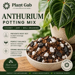 Premium Potting Mix for Tropical Plants - Ideal for Houseplants Like  Philodendron, Monstera, Anthurium, Rhaphidophora, Pothos, and More - Etsy