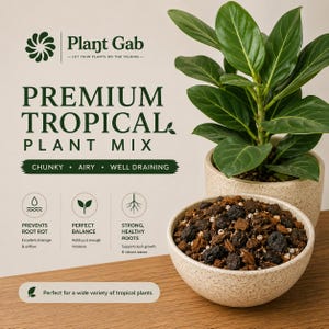 May include: A bag of Plant Gab Premium Tropical Plant Mix featuring dark brown soil with chunky bark and perlite. The packaging displays the text Premium Tropical Plant Mix, Chunky, Airy, Well Draining, and icons for root rot prevention.