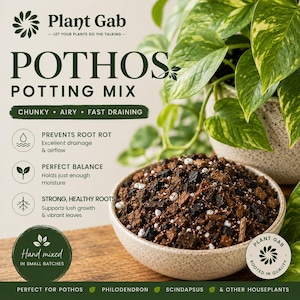 May include: A bowl of Pothos potting mix with the text "Plant Gab" and "Pothos Potting Mix". The mix is chunky, airy, and fast draining. The image also shows a potted plant with green and yellow leaves.
