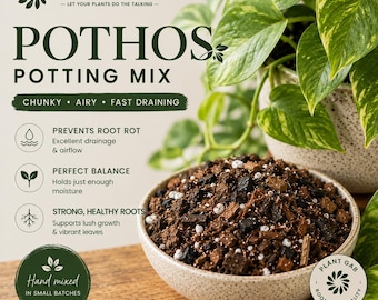 Premium Pothos Potting Mix - Organic, Chunky Blend for Thriving Vines |  Hand-mixed Soil for Pothos Plants | Cycle of Plant - Etsy