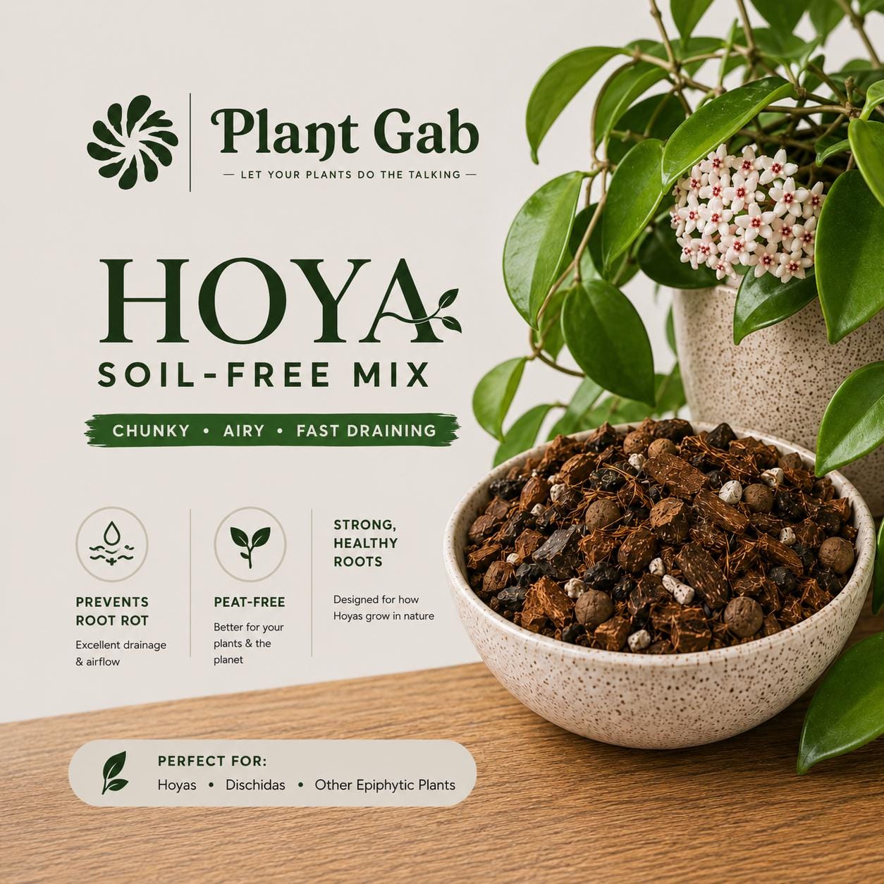 Premium Hoya Potting Mix | Soil-free Chunky Hoya Mix | Fast