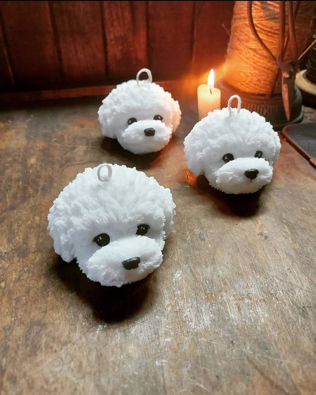 Bougie Mon Chiot Puppy Chien Bébé