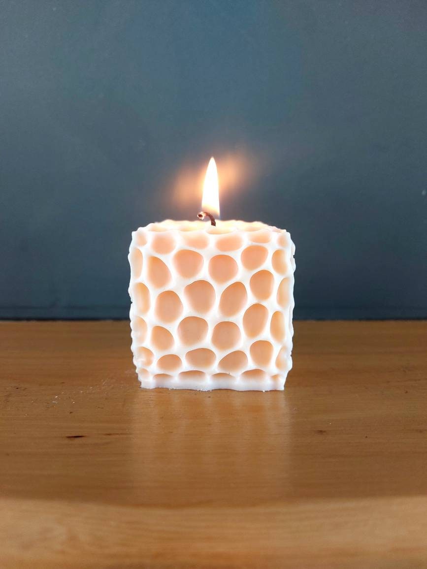 Bougie Corail Éponge