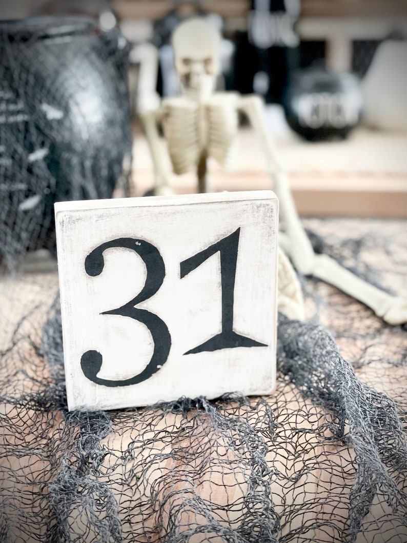 May include: White wooden block with the number 31 painted in black. The block is sitting on a black mesh fabric.