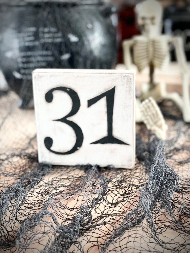 May include: White wooden block with the number 31 painted in black. The block is sitting on a black mesh fabric.