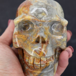 LARGE Crazy Lace Agate Skull, Crazy Lace Agate Crystal, Crazy Lace Agate Stone, Crystal Skull